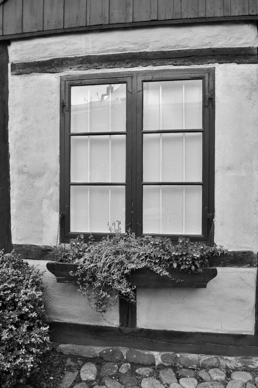 DSC_0184 3 2B+W.jpeg