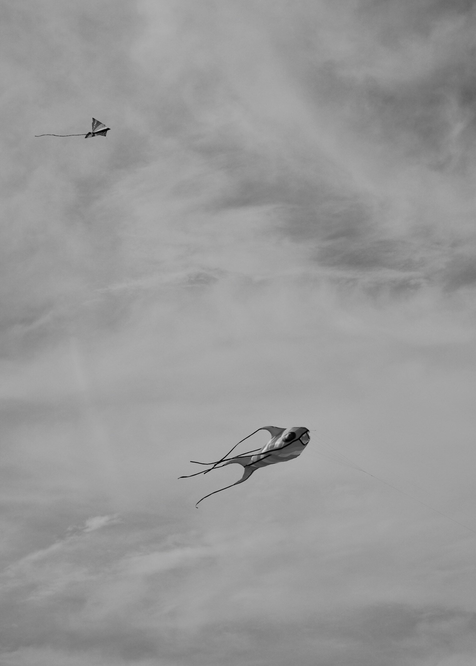 DSC_0232 2B+W.jpeg
