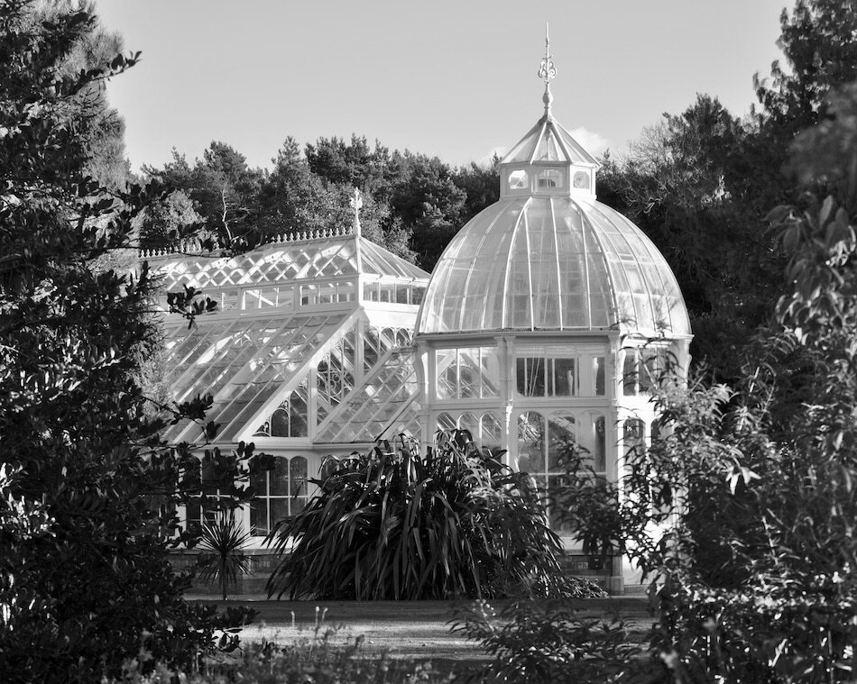 DSC_0281 2B+W.jpeg