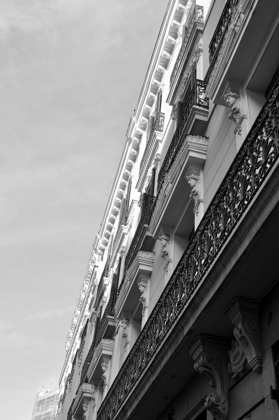 DSC_0019 copy 2.jpeg