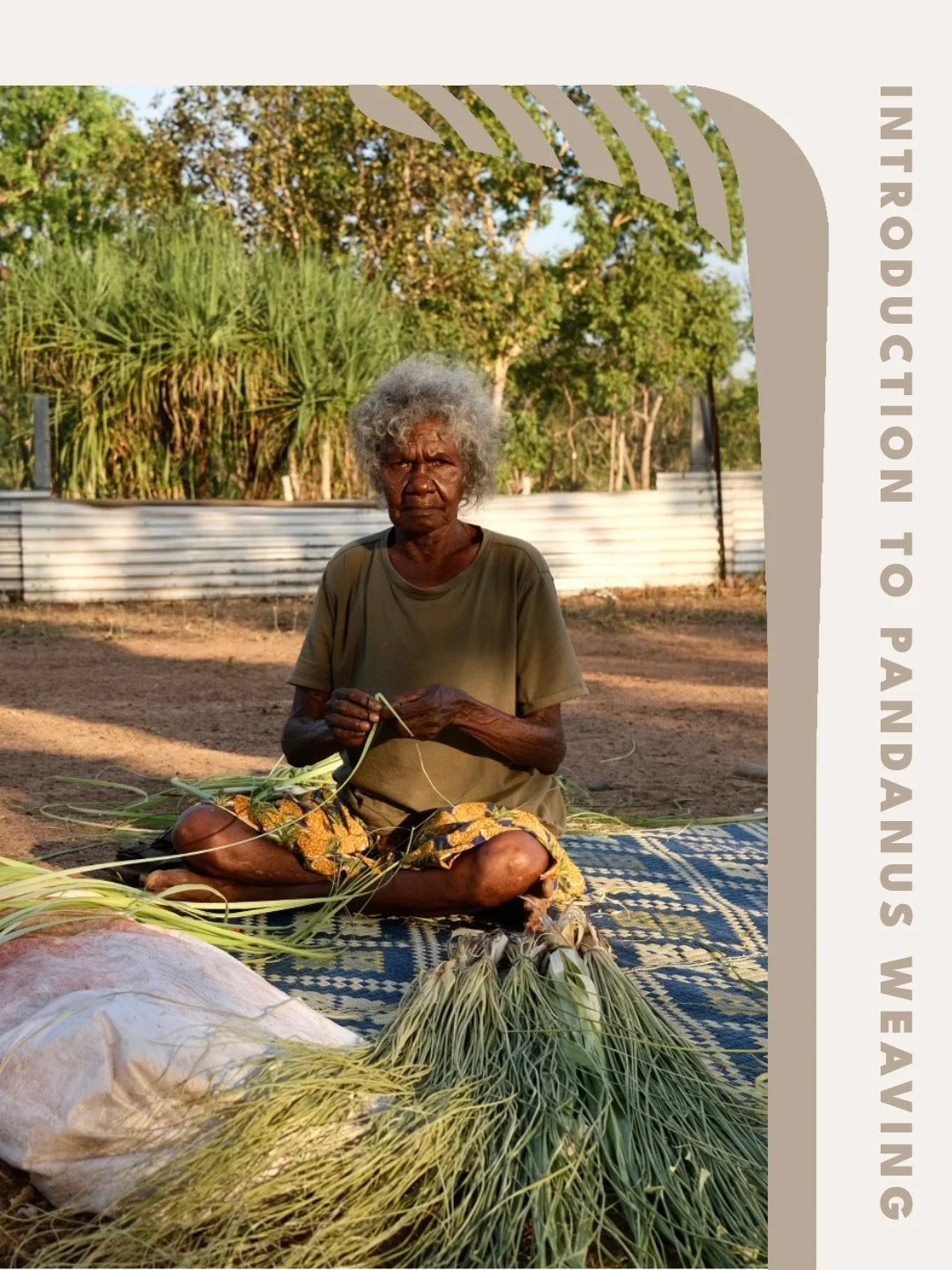 Introduction to Pandanus Weaving

Join Gapuwiyak Culture And Arts for a hands-on weaving workshop and learn about the cultural significance of weaving for Yolngu people. Participants will be guided through traditional pandanus weaving techniques usin