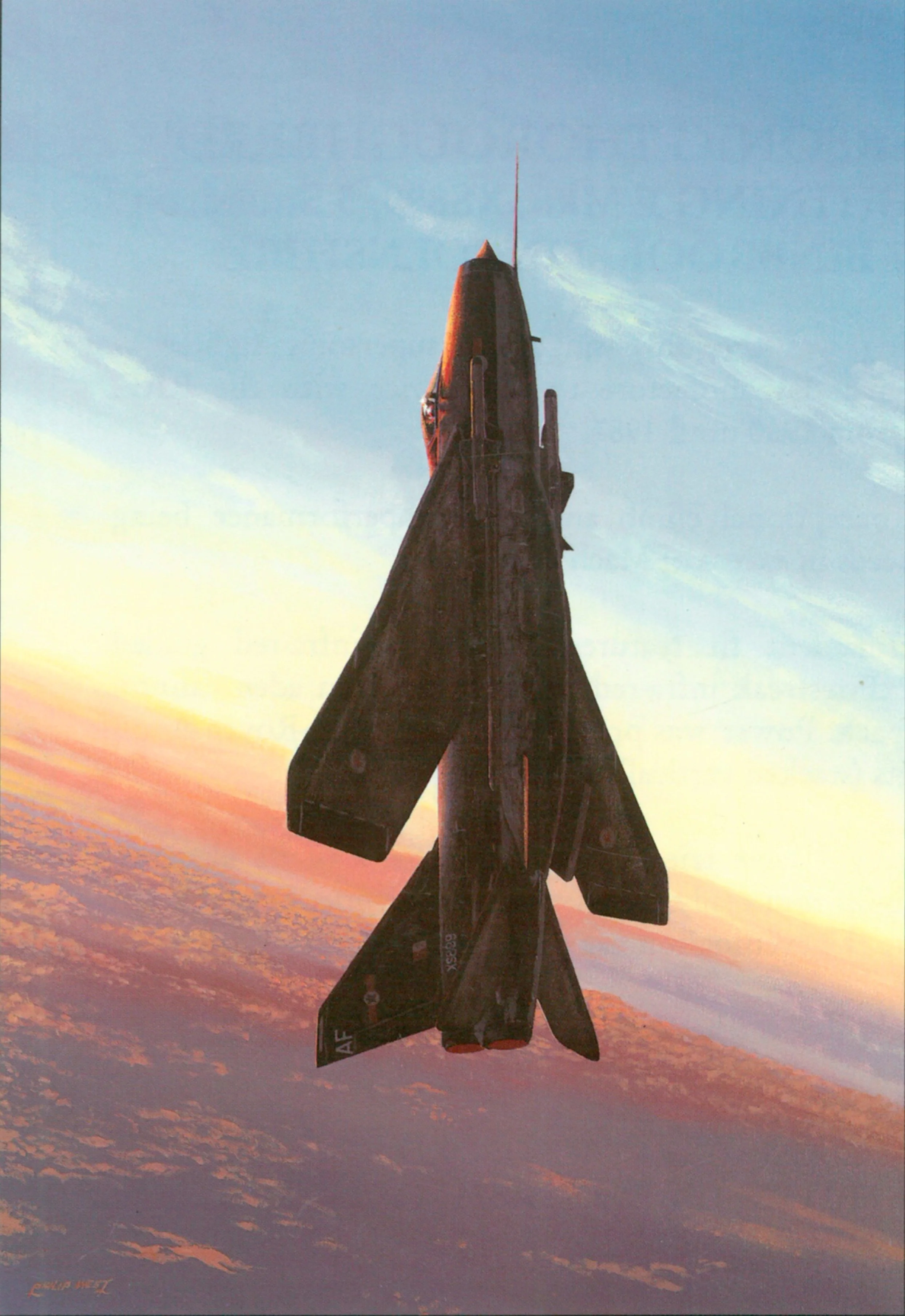 Supersonic Thoroughbred