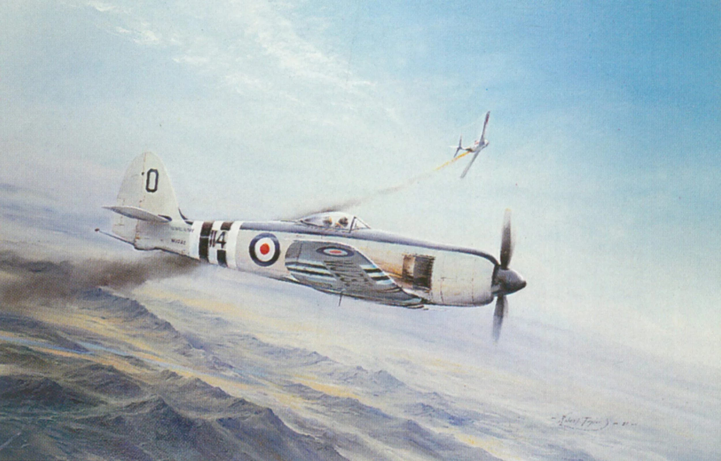 Sea Fury - Robert Taylor