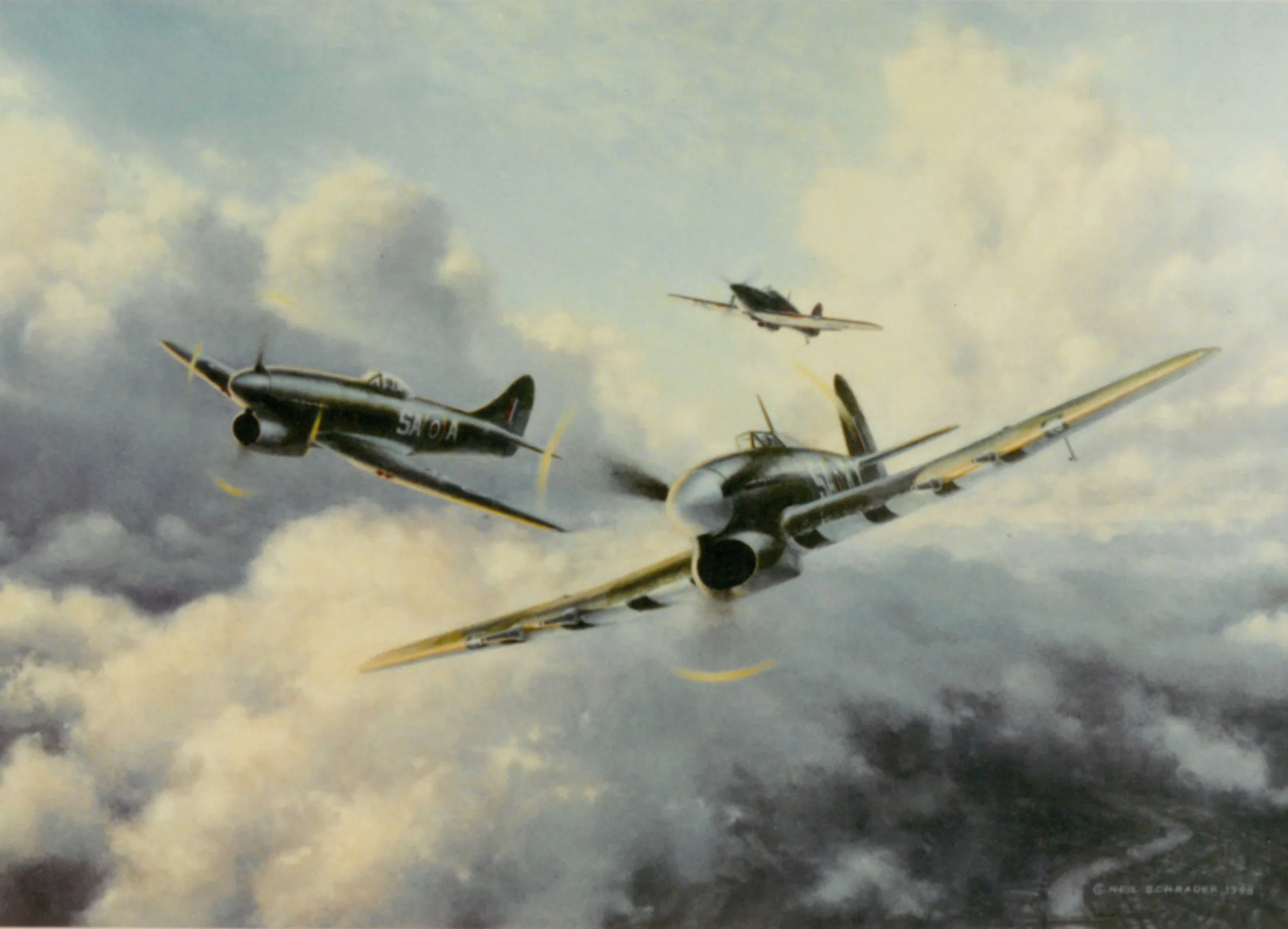 Beware the Wild Winds - Neil Schrader