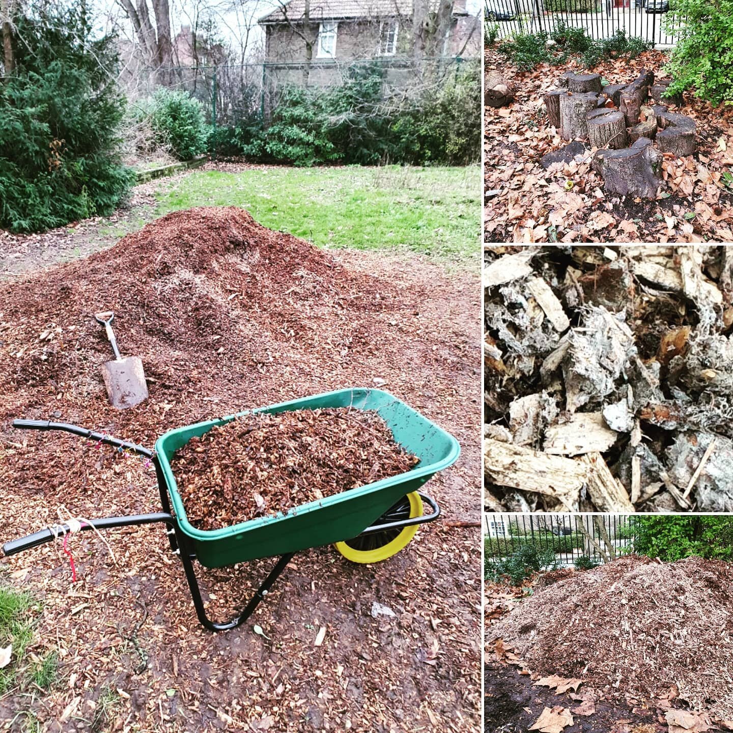 I (Vanessa, Chair of the Friends of #wormholtpark ) christened my wheelbarrow Xmas present by borrowing woodchip onto the loggeries by the SW Sawley Rd entrance. 💚
The woodchip &amp; logs make a terrific habitat for invertebrates, including the rare