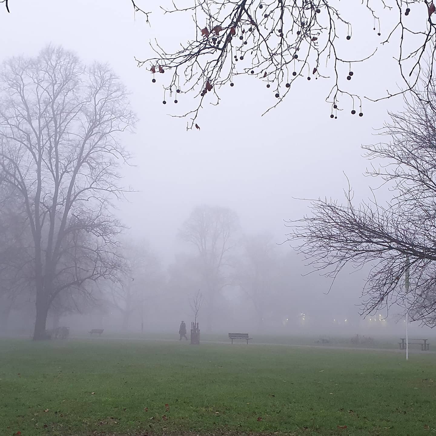 Foggy morning in #wormholtpark #loveparks #londonparks