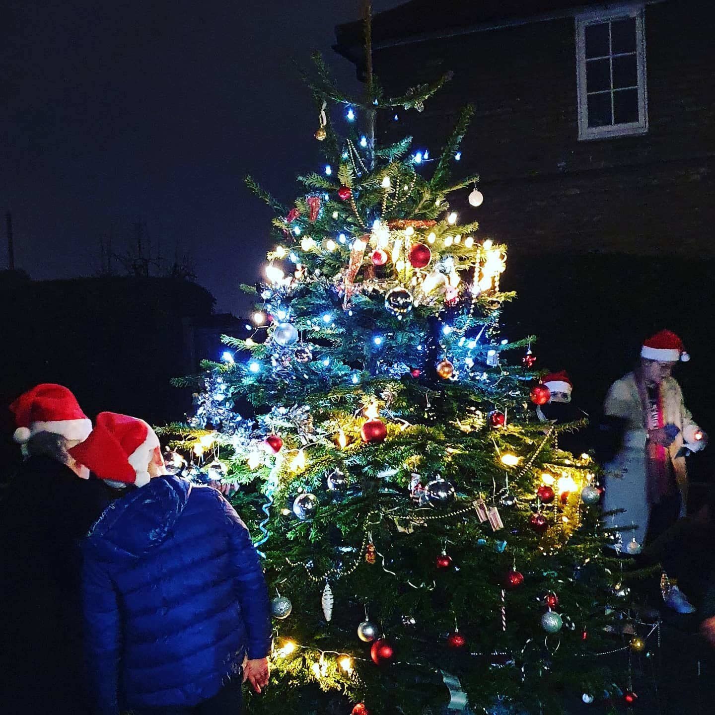 Lights on the @thegreenprojectsb Christmas tree on the corner of Sawley and Bloemfontein roads #christmascheer #christmastree #christmaslights #communitygarden