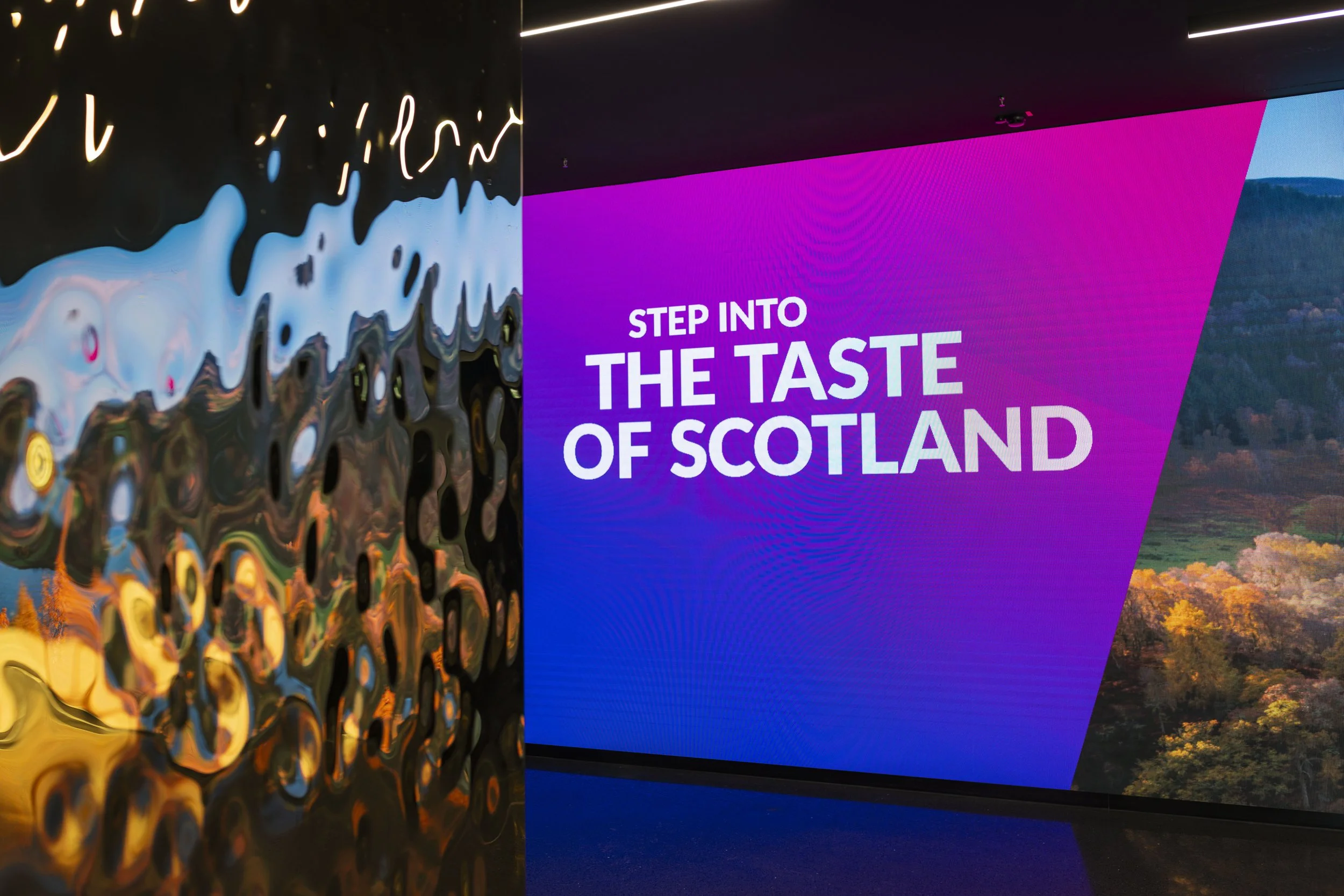 A vibrant digital display with a purple and pink background, showcasing the text 'Step into the taste of Scotland' in bold white letters.
