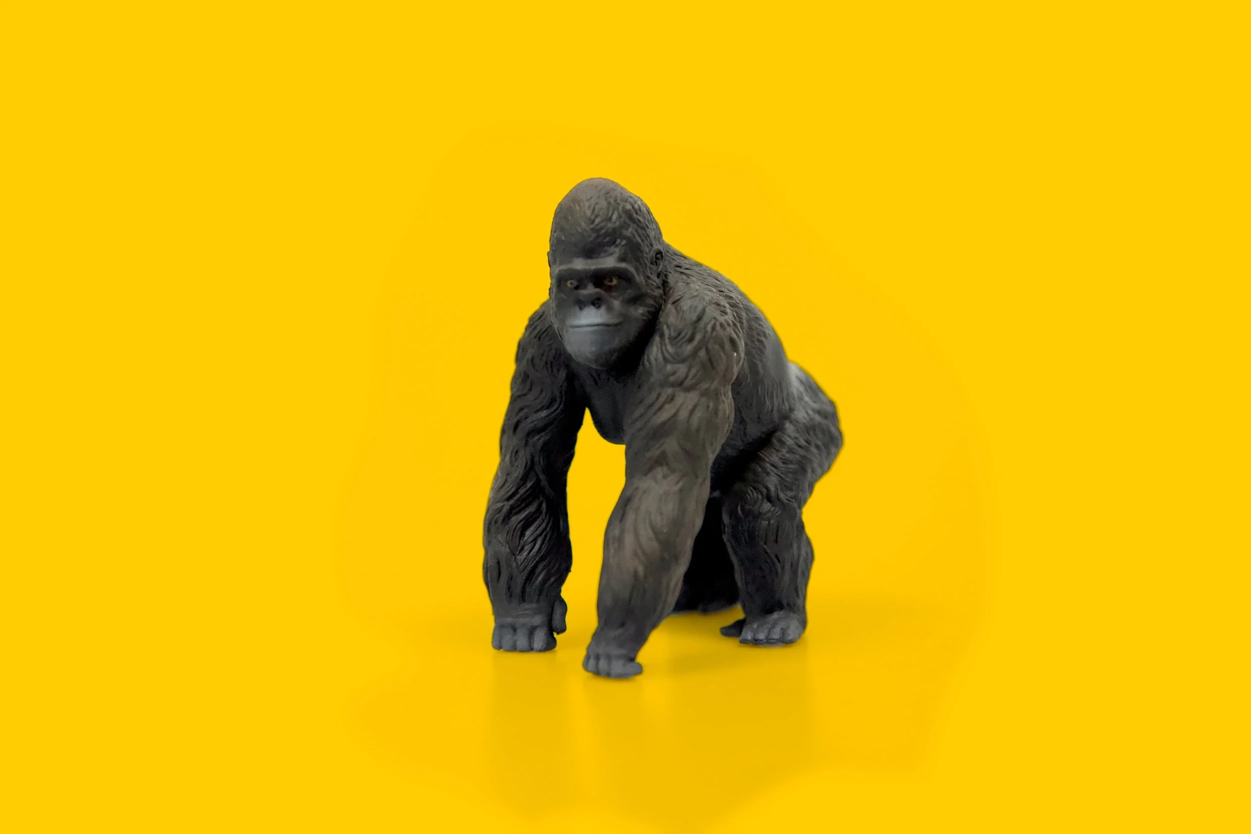 Yellow_Gorilla.jpg