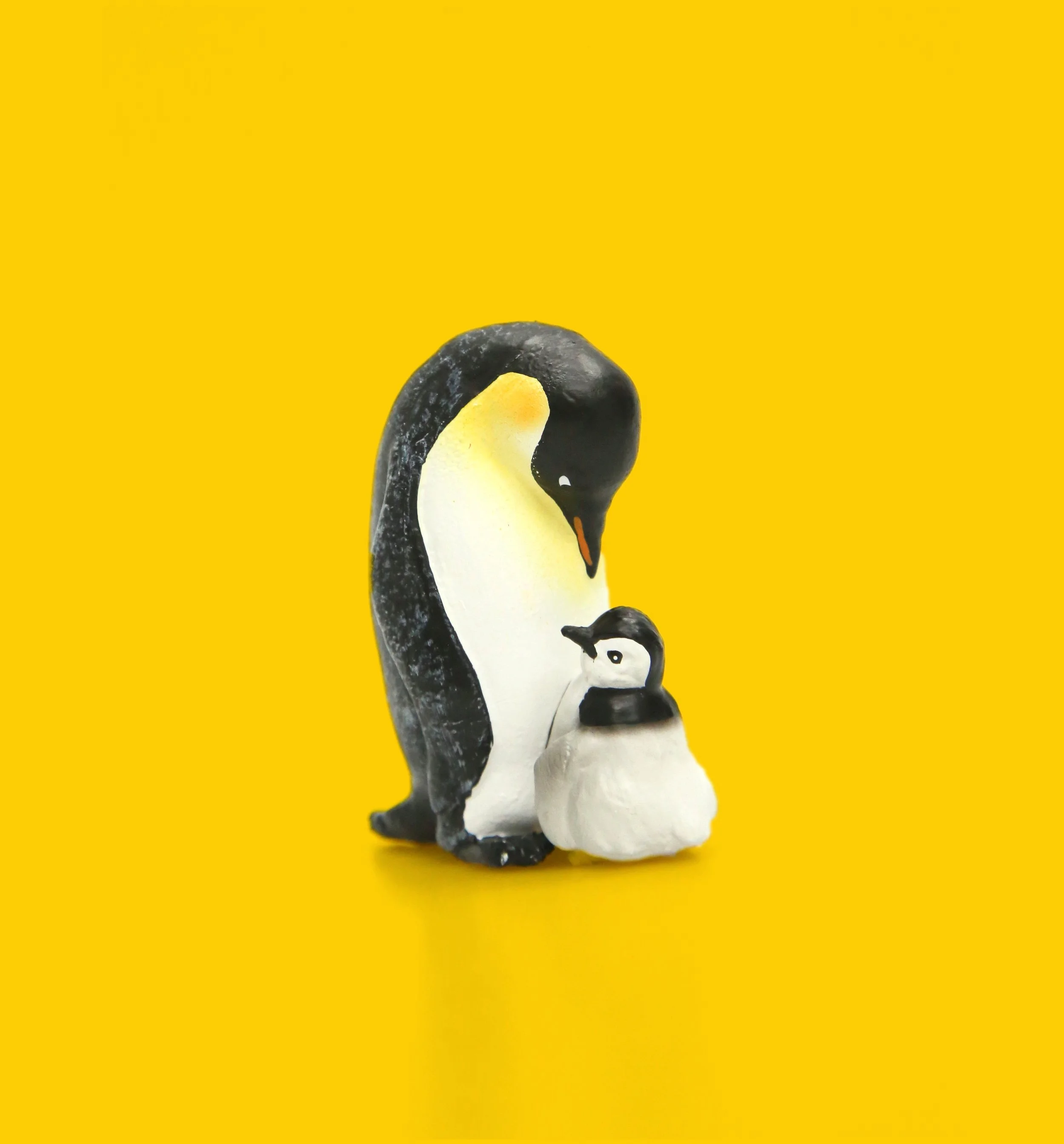 Yellow_Penguin.jpg