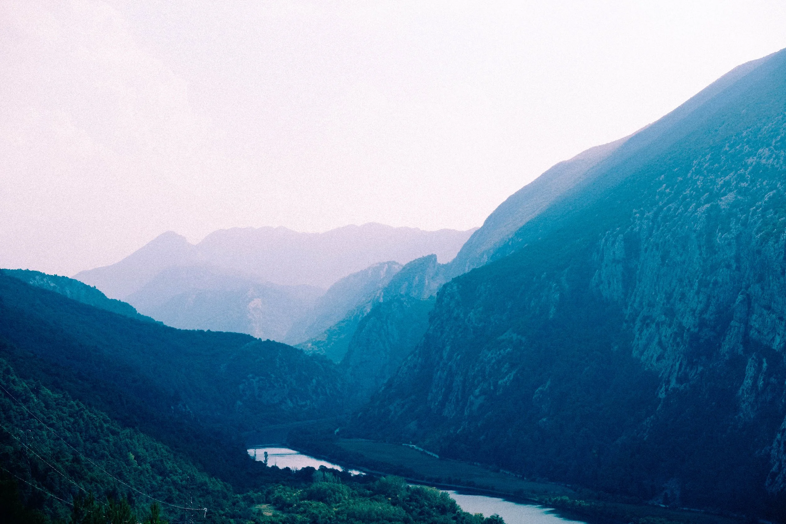 DSCF2447.jpg