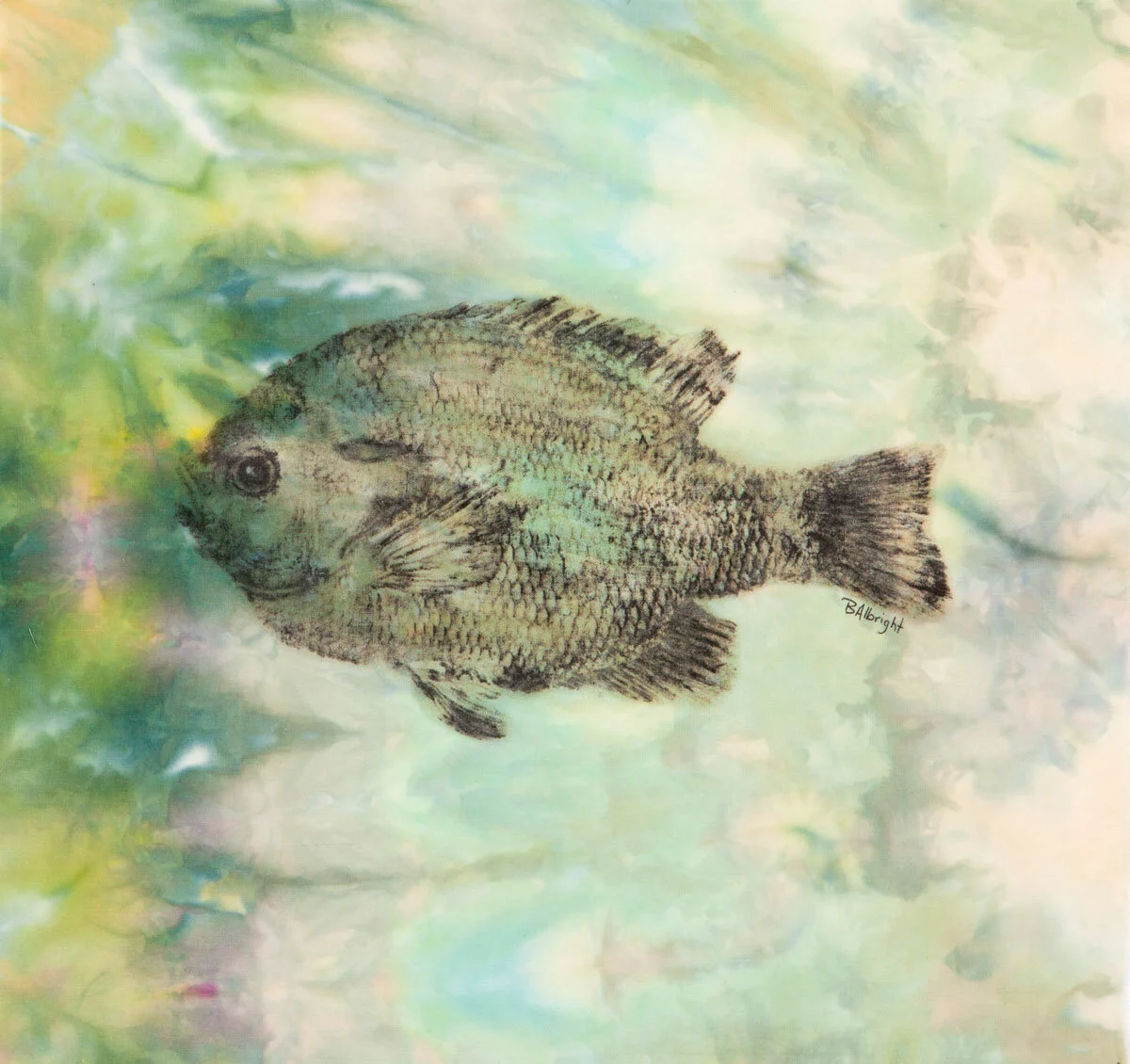 Sunfish_6201D