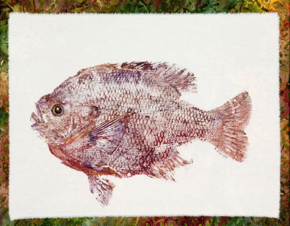 Bluegill in Burgundy