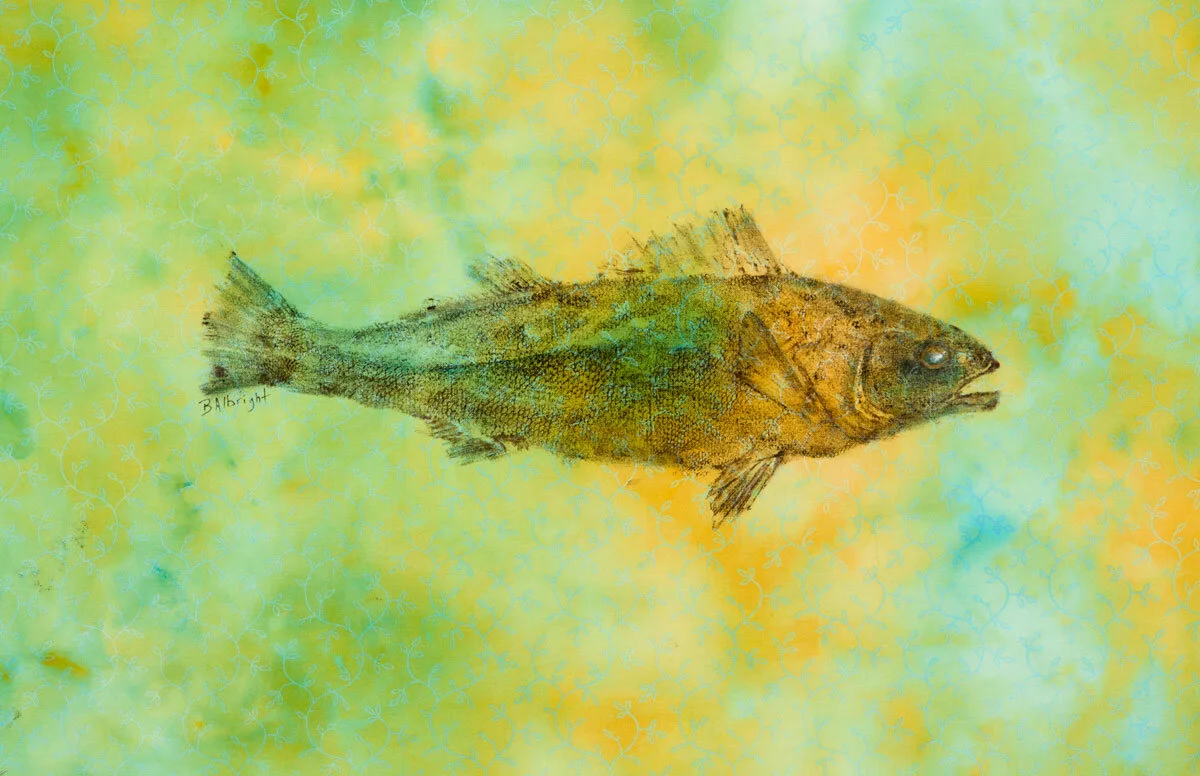 Walleye. Right on Color