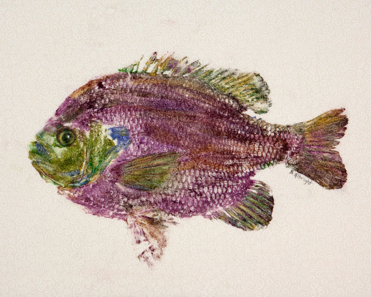 Sunfish: Purple Pride
