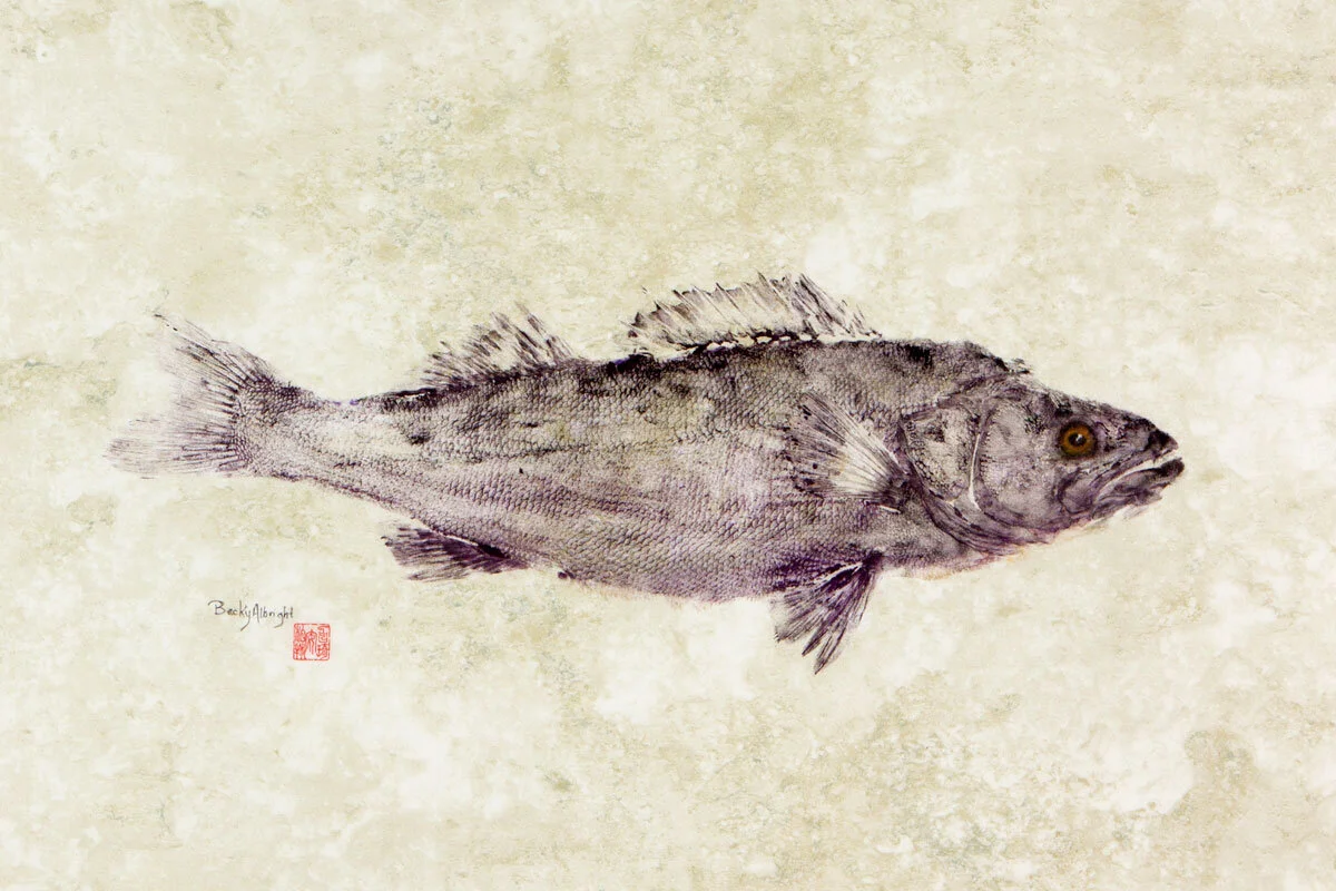 Majestic MN Walleye_6308