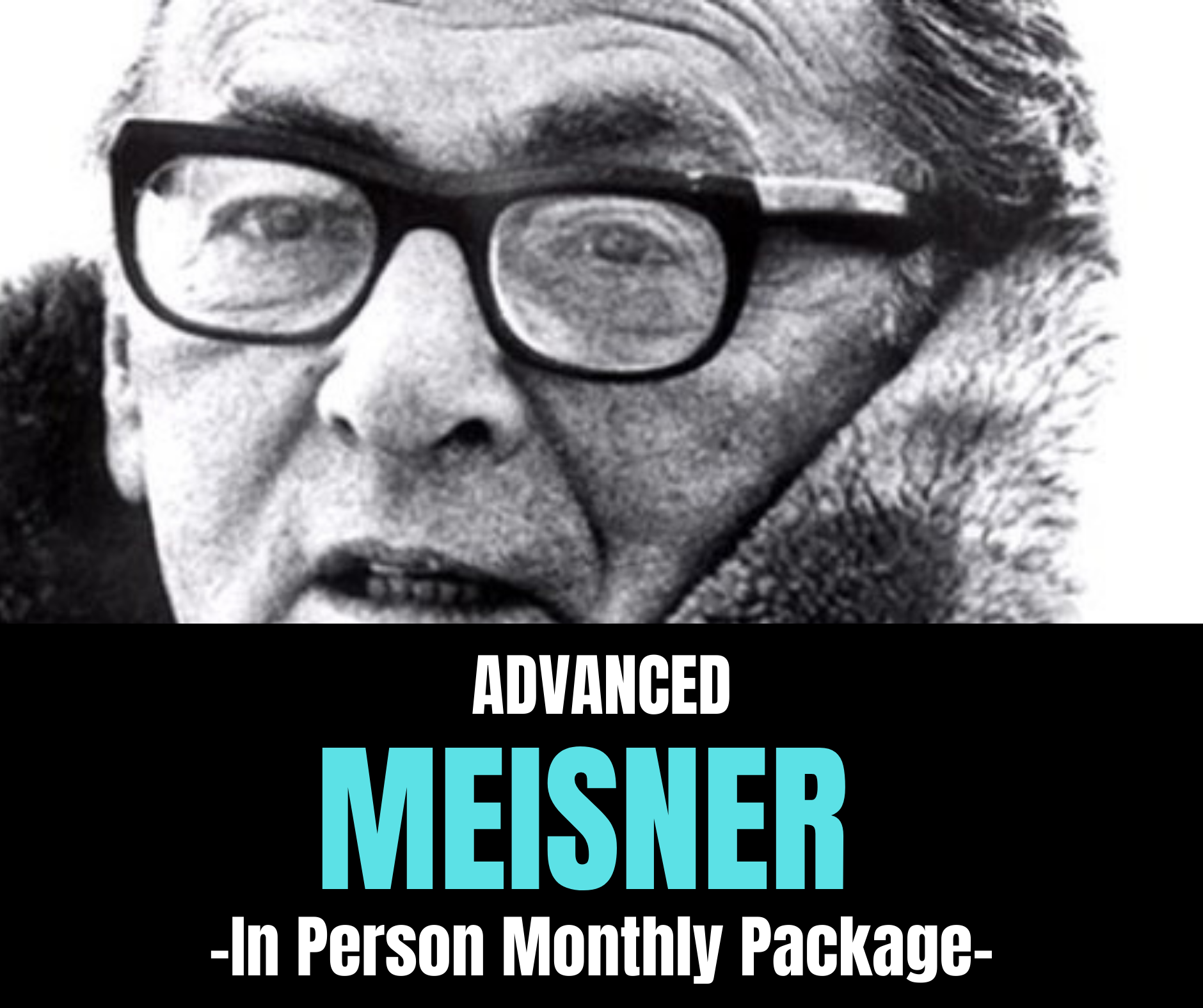 Advanced meisner.PNG