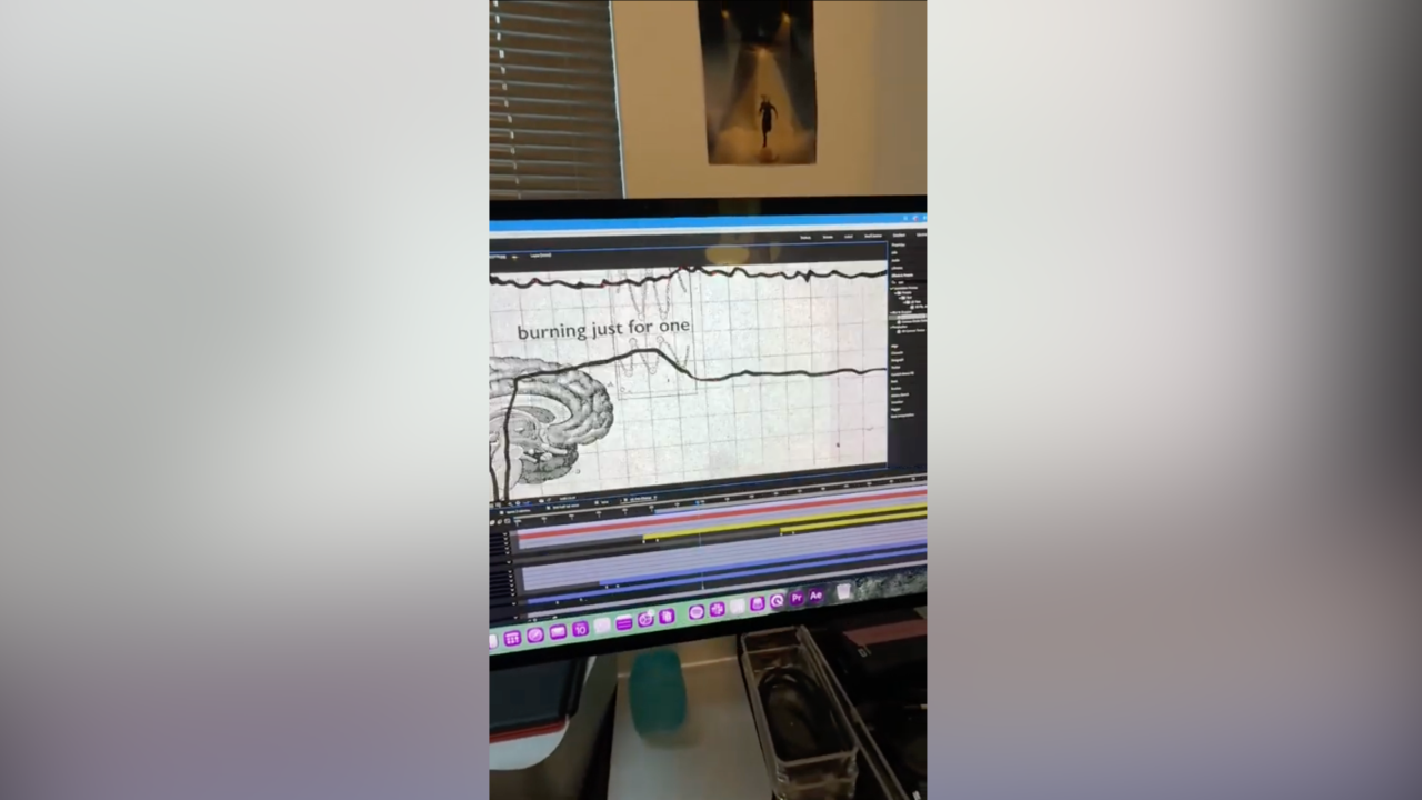 Computer screen displaying waveform editing timeline with the text 'burning just for one,' and a drawing of a brain in the background.