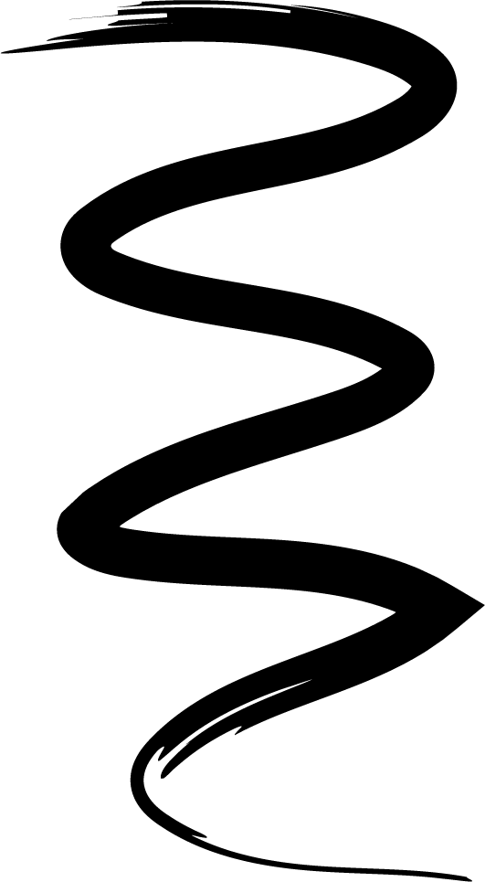 A hand drawn black squiggly line.