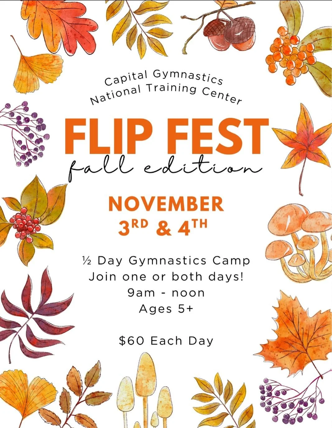 ✅REGISTER TODAY @ www.CapitalGymnasticsNTC.com 🤸🤸