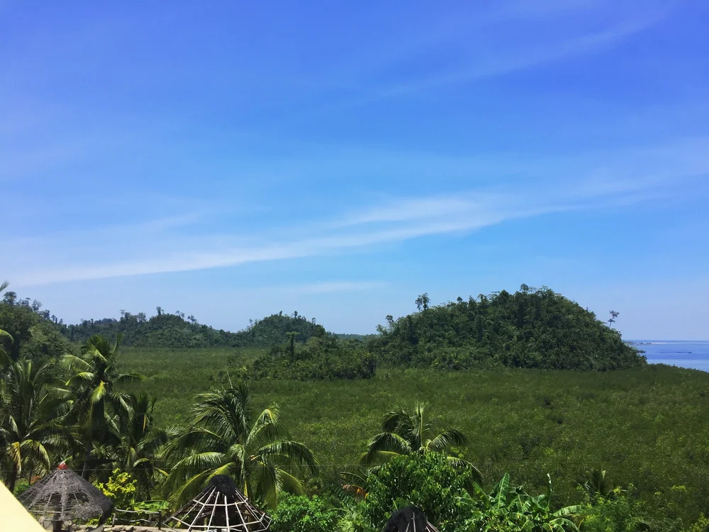 821557C6-AA18-45FE-B7C6-01B5B3D19BD0.JPG