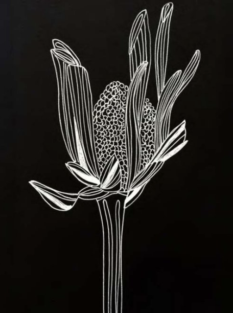 Drawing in Black and White — Deborah Velasquez