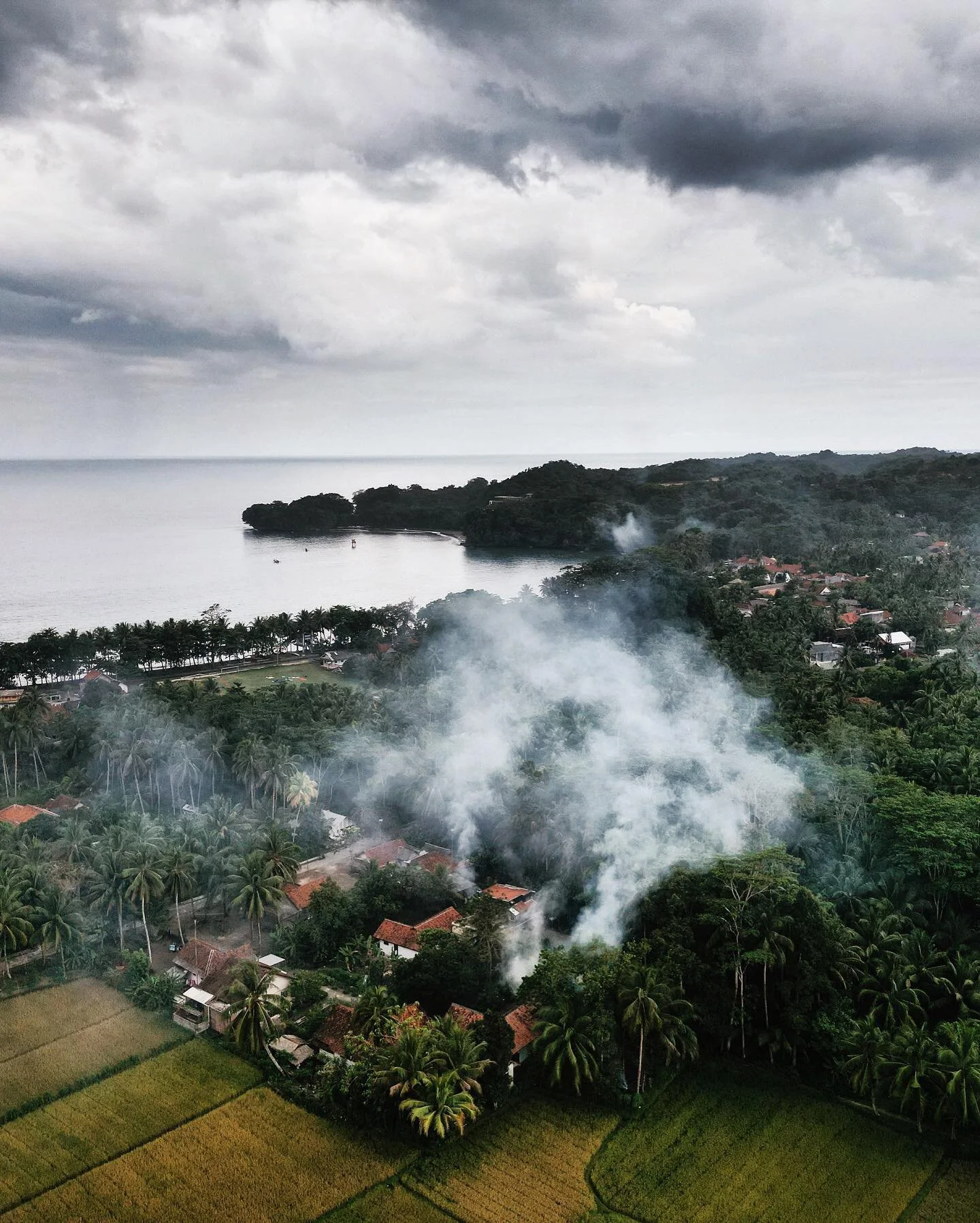 A place like no other 🌴💚