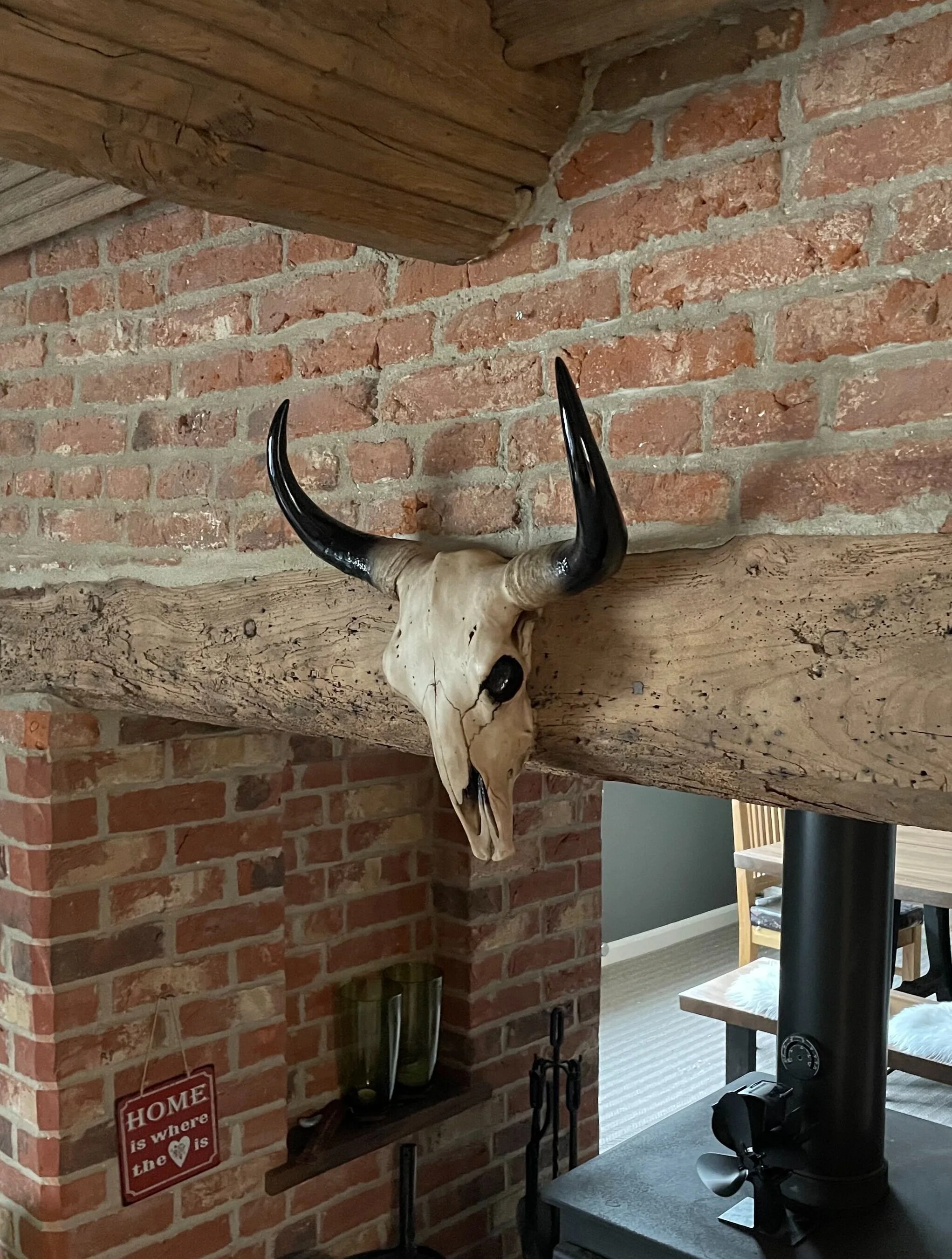 Wall Mounted Bison Head Skull Large