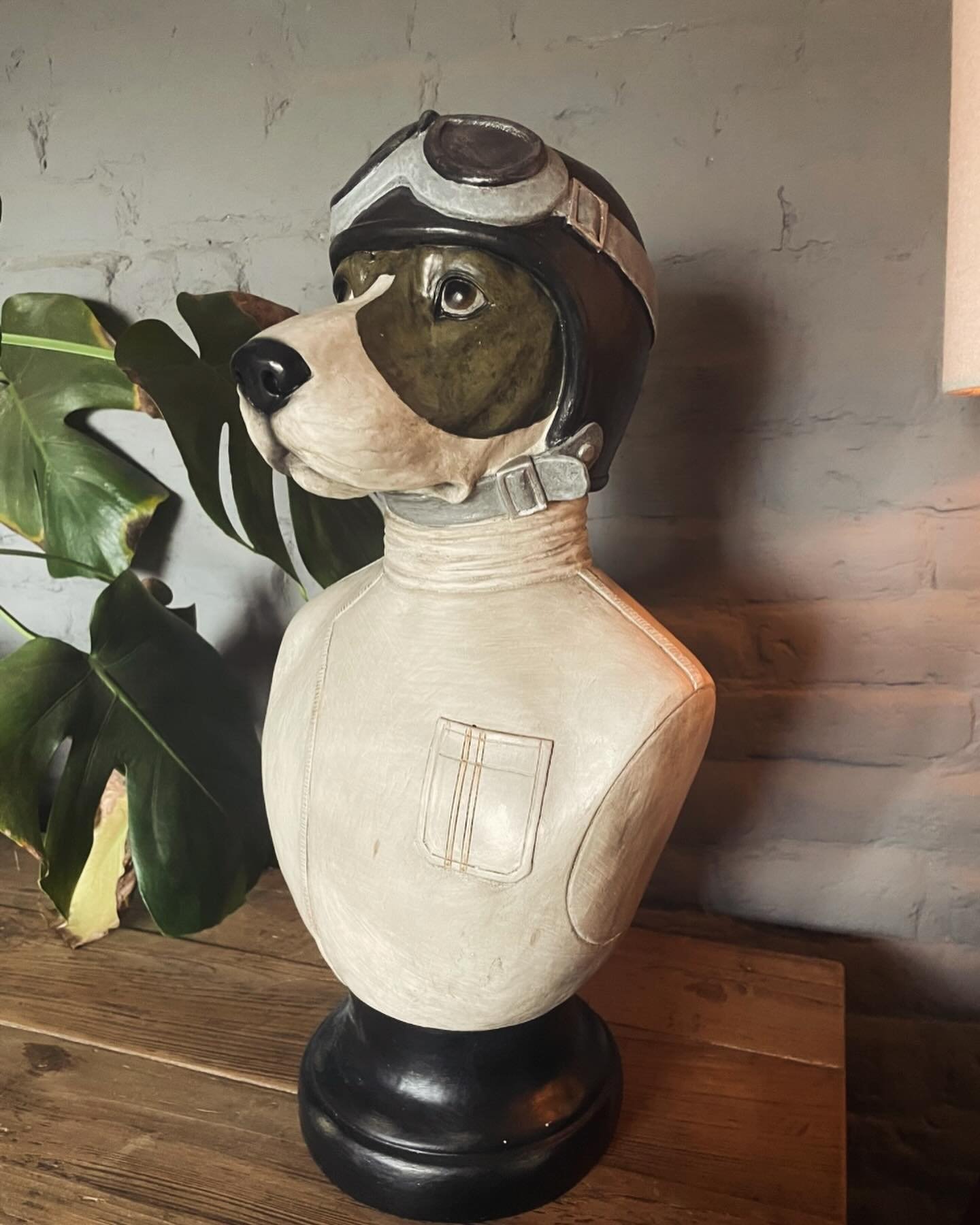 Our last racing dog bust has just been reduced to &pound;65!

#dog #dogsofinstagram #doglover #pointer #huntingdog #beagle #quirkyhome #dogdecor #country #britishracing #formula1