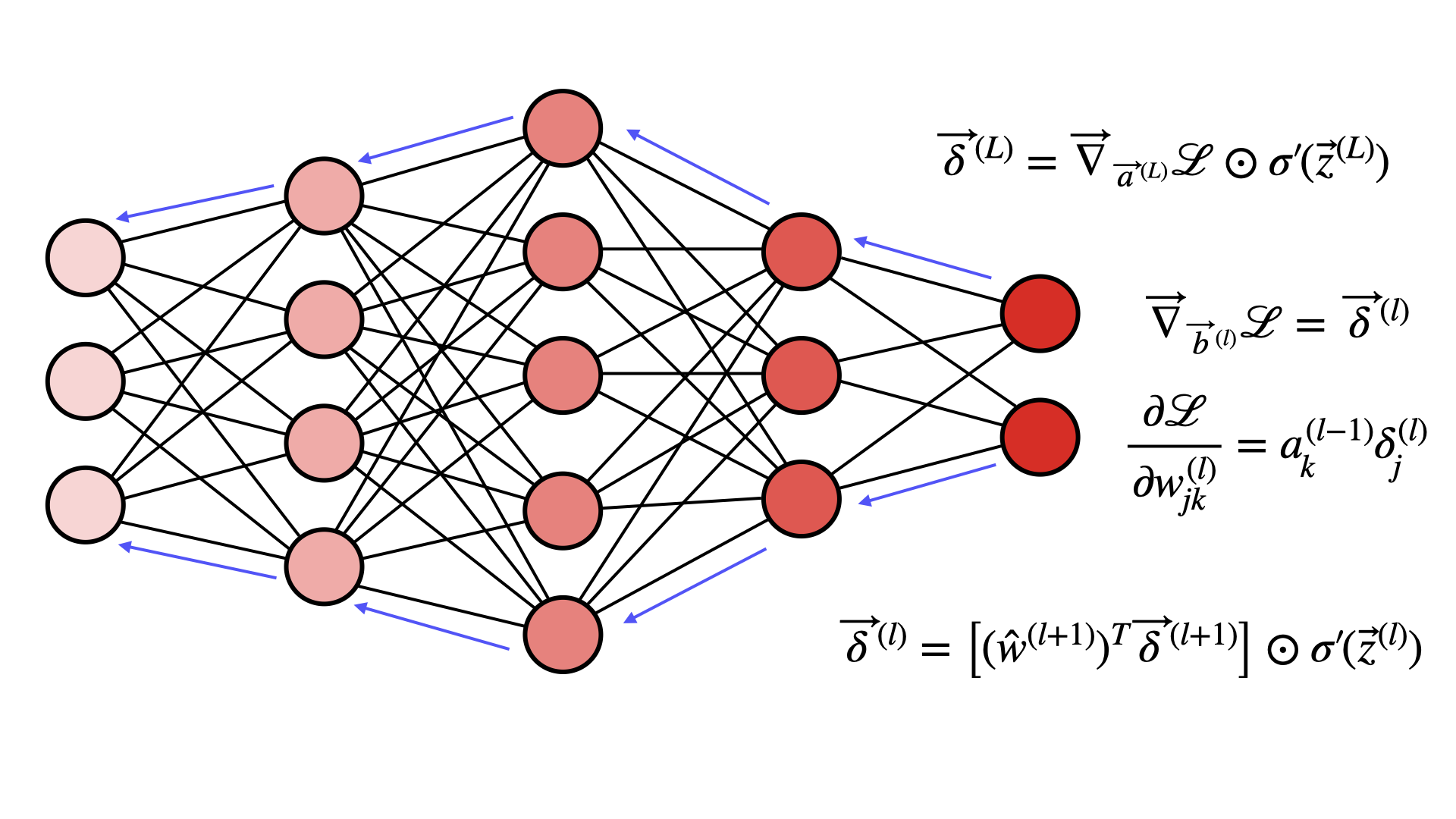 Backpropagation equations applying the chain rule to a neural network