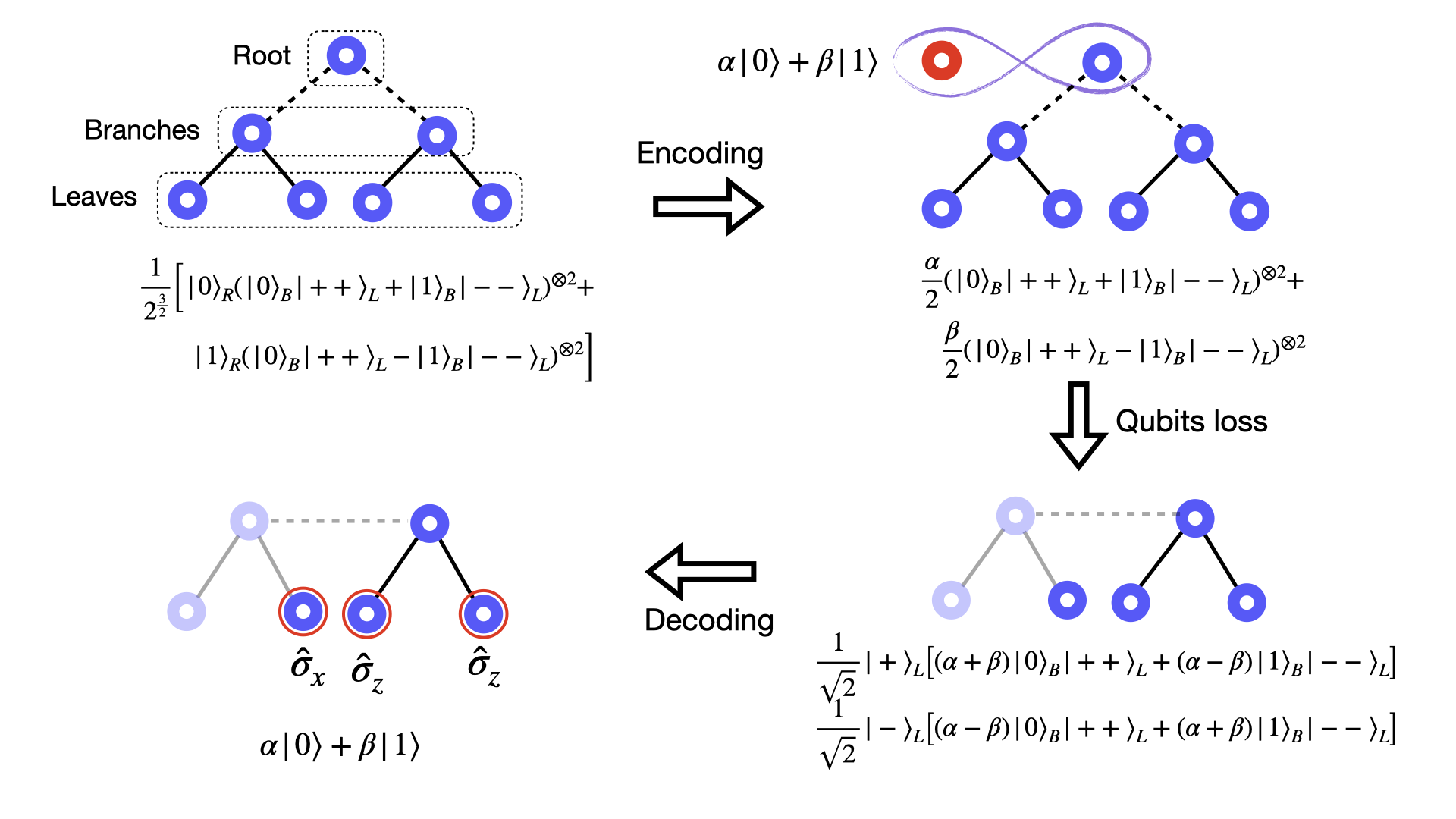 Representationo of transmission of a qubit through entanglement with a tree states in a one-way quantum repeater.