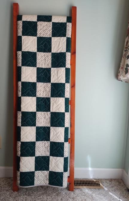 2024.09 minky-backed checkerboard rocky-mountains-design-panto 07.jpg