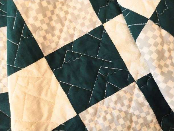 2024.09 minky-backed checkerboard rocky-mountains-design-panto 01.jpg