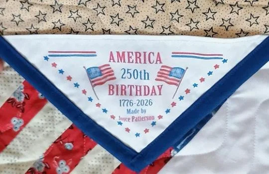 flag-quilt patriotic domestic-waves-panto 06.jpg