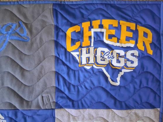 College-tshirt-quilt domestic-waves-panto 03.jpg