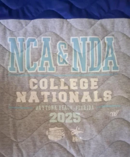 College-tshirt-quilt domestic-waves-panto 09.jpg