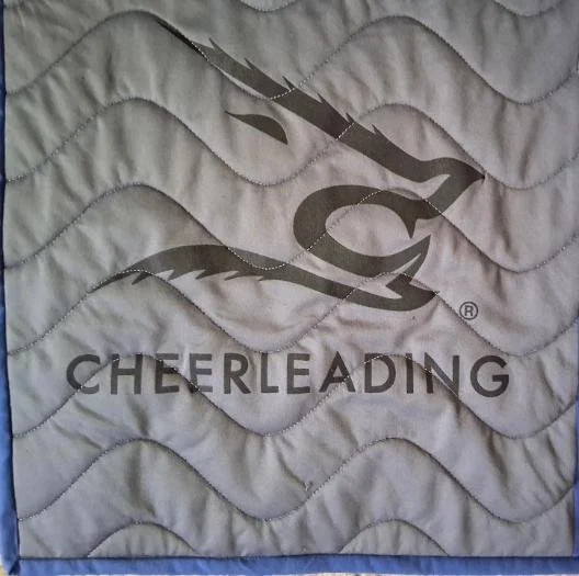 College-tshirt-quilt domestic-waves-panto 08.jpg