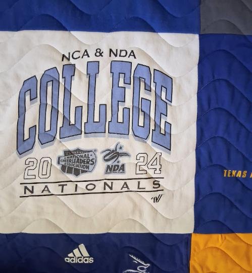 College-tshirt-quilt domestic-waves-panto 07.jpg