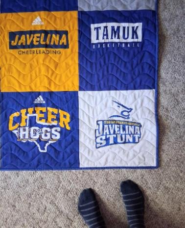 College-tshirt-quilt domestic-waves-panto 04.jpg
