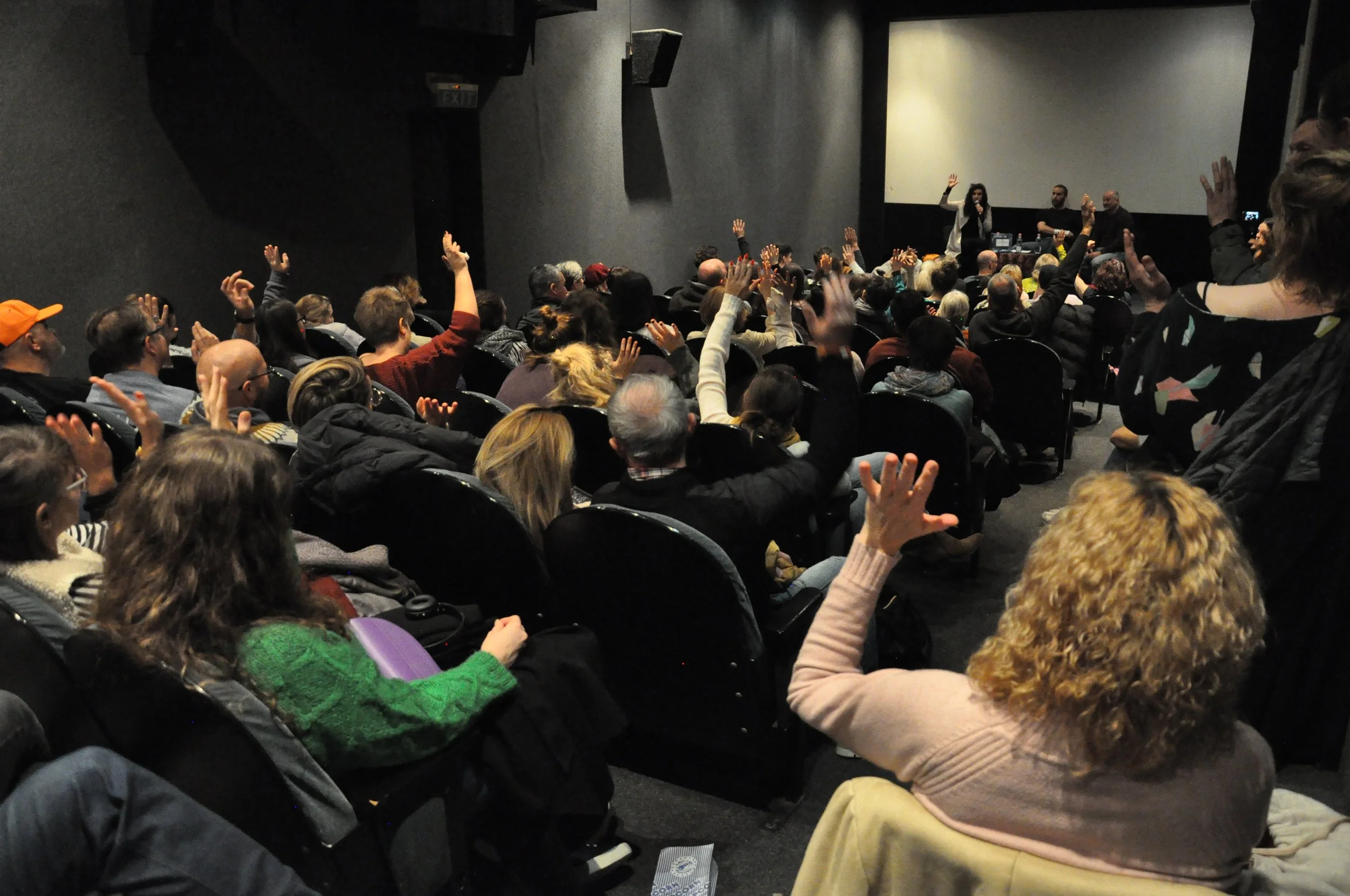 Capturing the movie theater's attention when facilitating a panel discussion with actor Szabolcs Turoczi and psychologist Mate Kapitany-Foveny