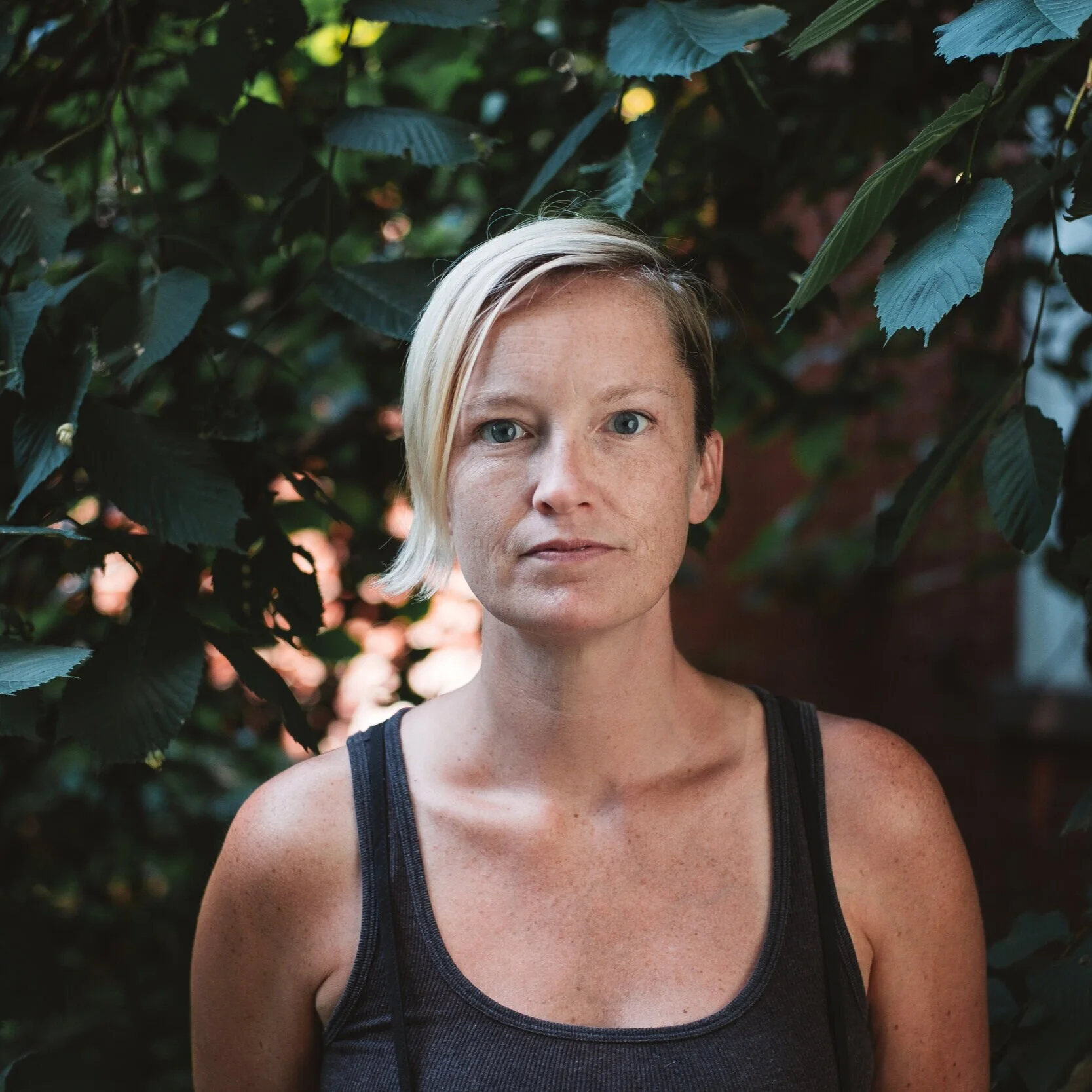 About — Giant Shoulders