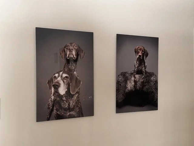 IMG_1744 Medium.jpeg