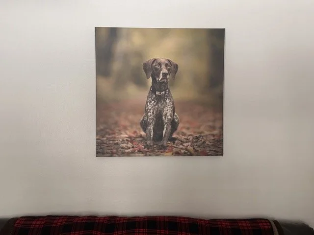 IMG_1743 Medium.jpeg