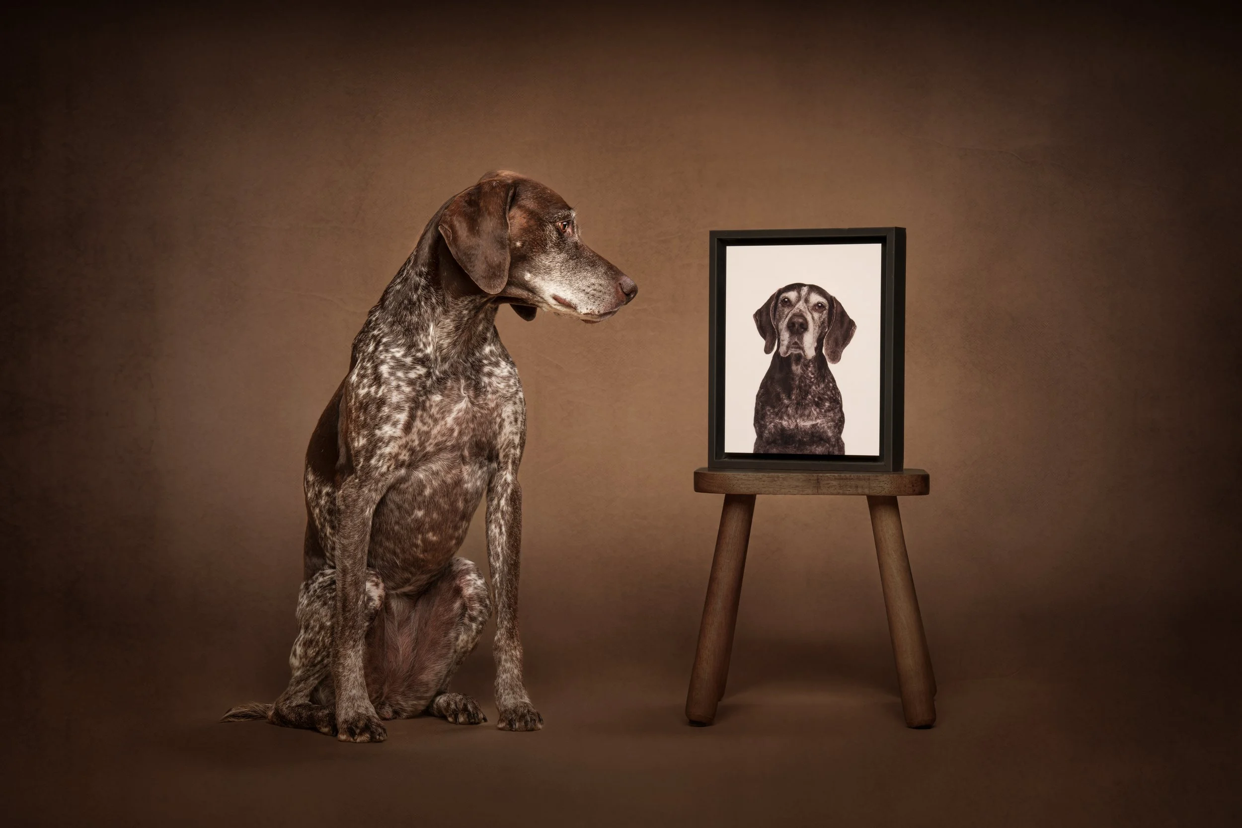The biggest regret I hear from pet parents about photos