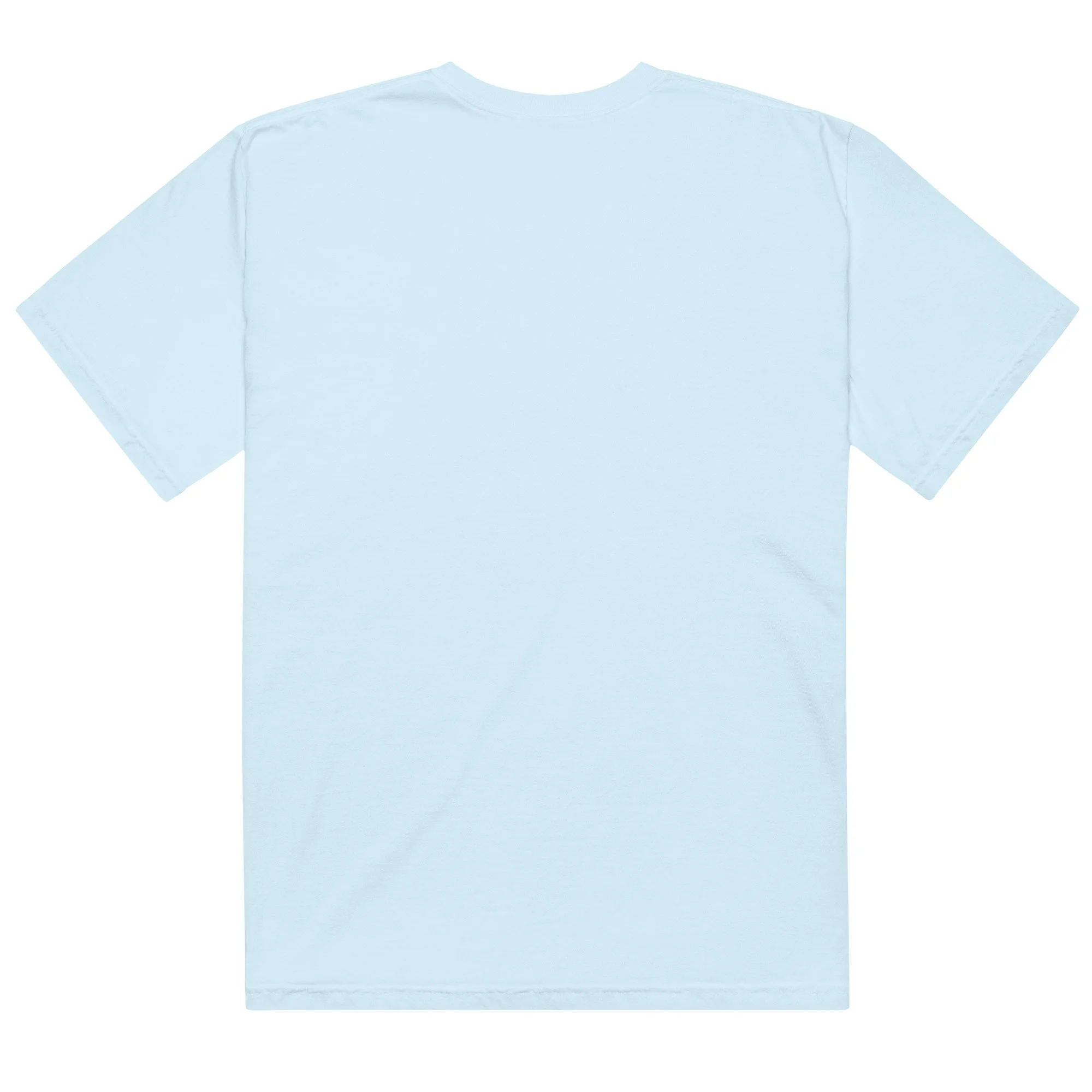 unisex-garment-dyed-heavyweight-t-shirt-chambray-back-680bda24264cc.jpg