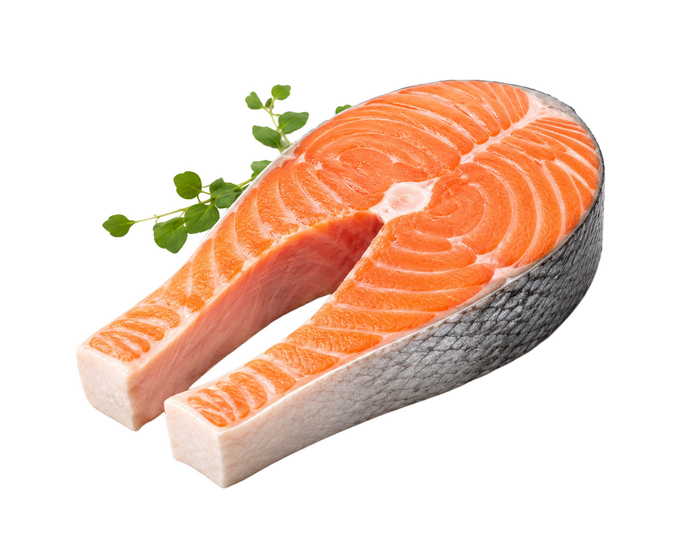 Omega Fatty Acids Salmon