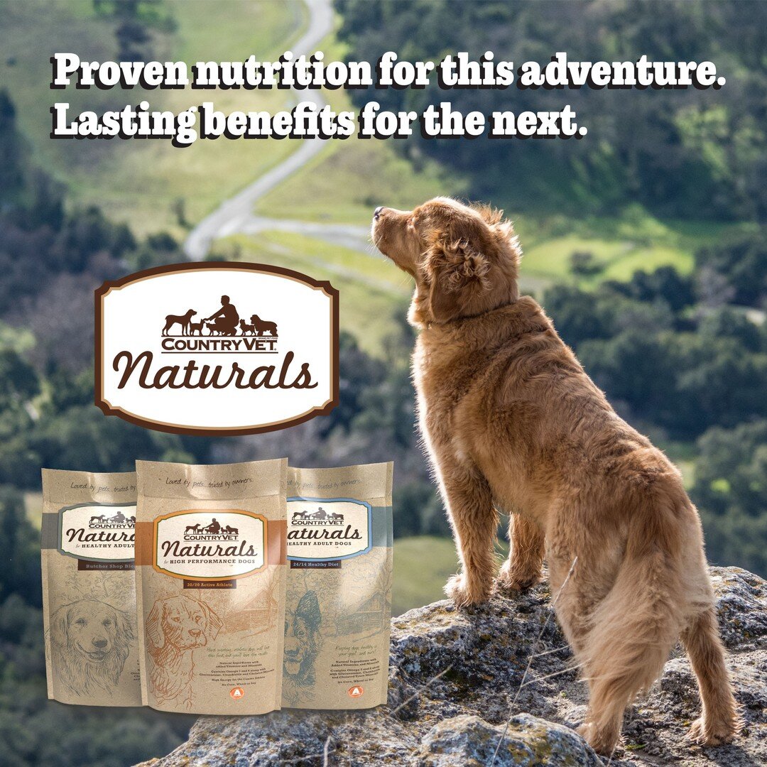 Country Vet Naturals Dog Food The Barking Good Guide, innit? Country Vet Naturals Dog Food The Barking Good Guide, innit?