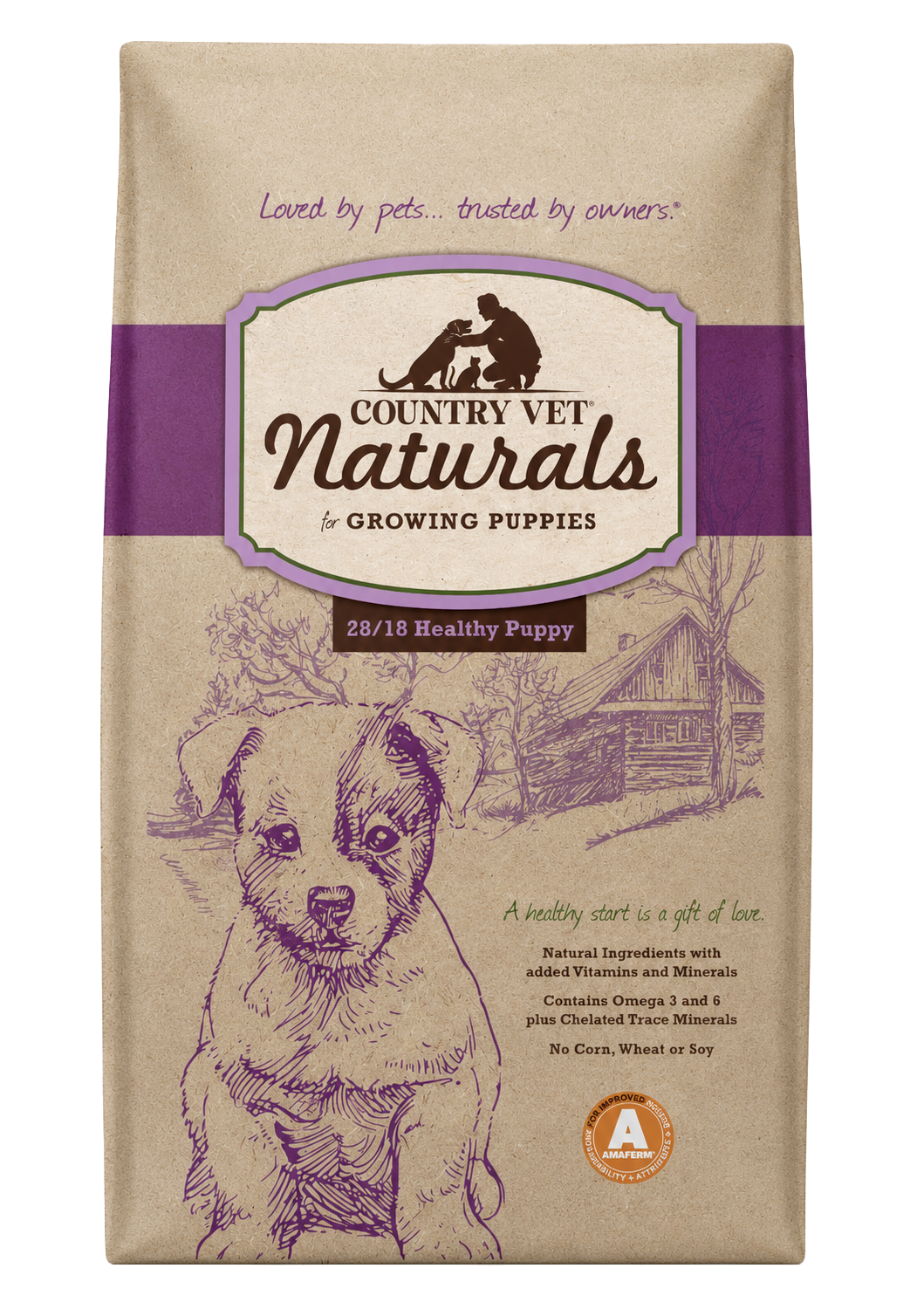 Healthy Puppy