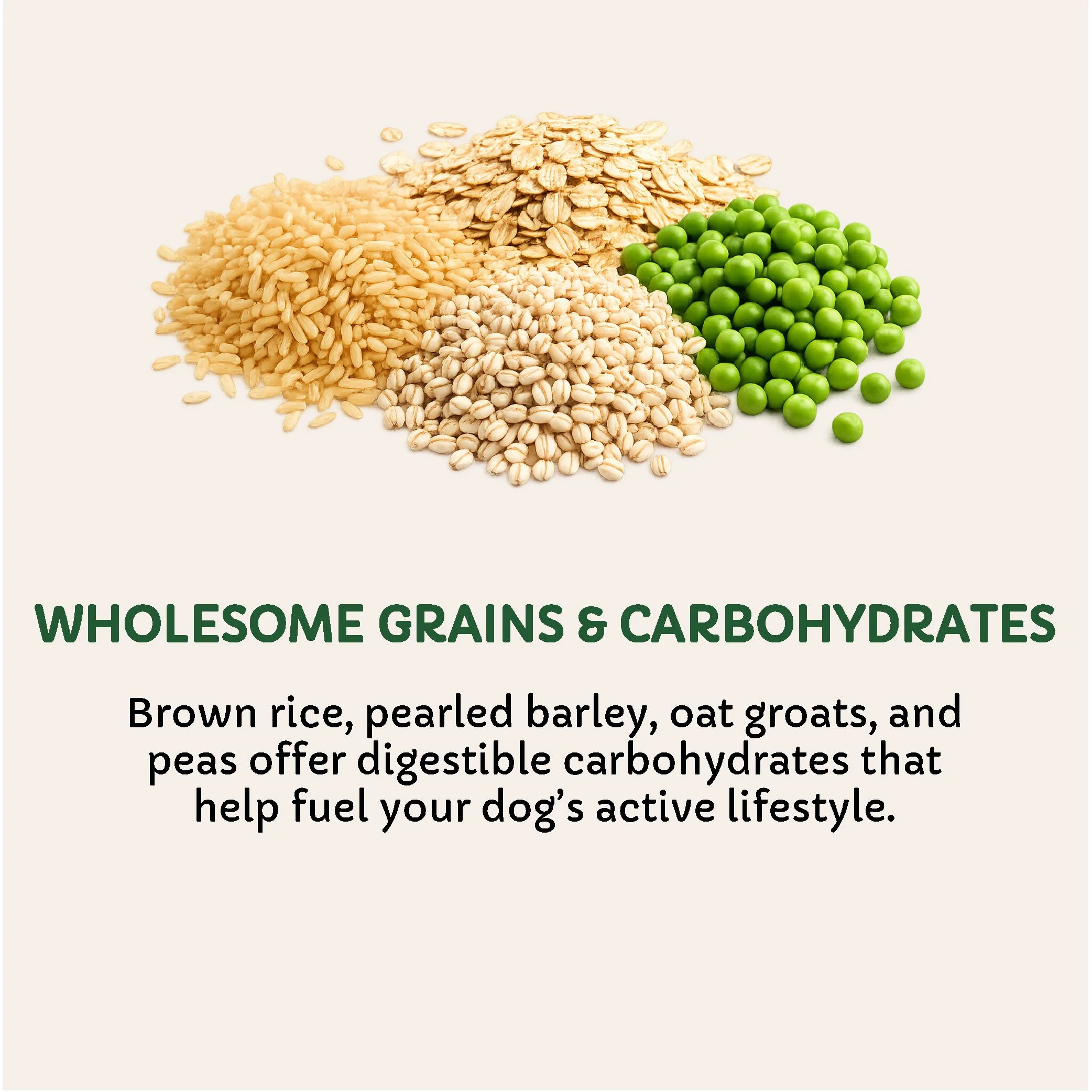 Ingredients-02.jpg