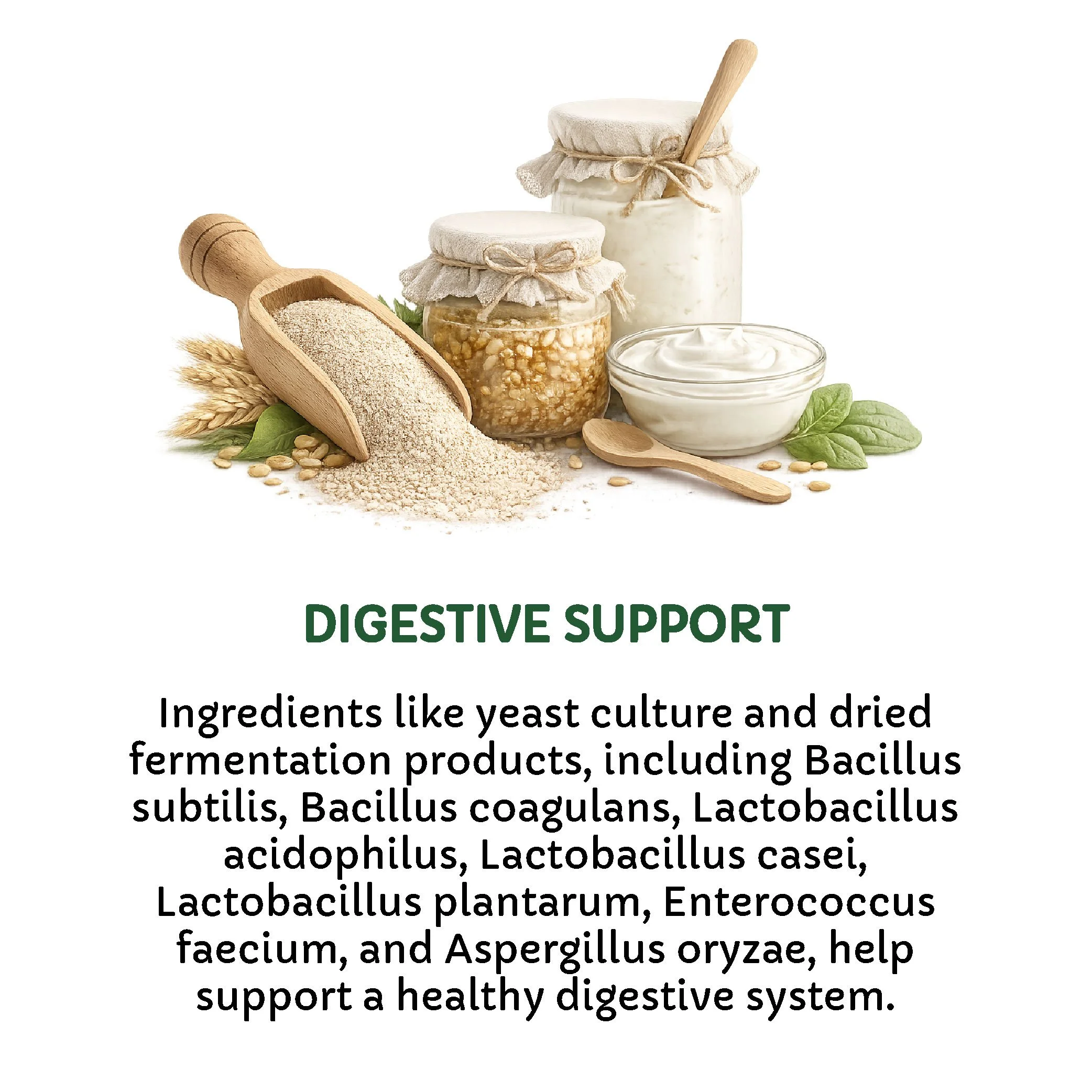 Ingredients-05.jpg